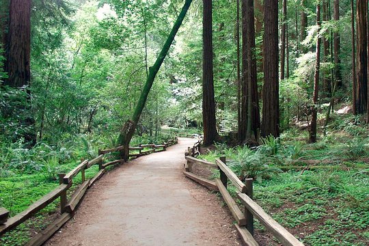 Tour image 5