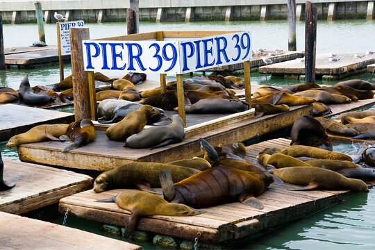 Tour image 8